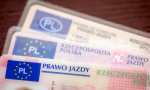 Kilka polskich praw jazdy, pokazujących różne kategorie prawa jazdy.
