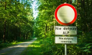 Znak zakaz ruchu na leśnej drodze. Nie dotyczy ALP i rowerów.
