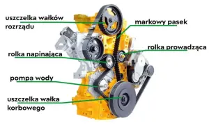 Toyota Corolla: Rozrząd - Pasek czy Łańcuch? Co musisz wiedzieć
