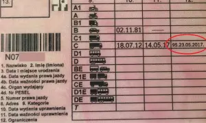 Gdzie znaleźć datę wydania prawa jazdy? Kluczowe informacje, które musisz znać
