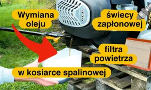 Ile oleju do kosiarki Honda? Sprawdź, by uniknąć problemów z silnikiem