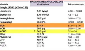 Jakie badania krwi są konieczne po utracie prawa jazdy za alkohol i jak je wykonać?