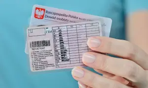 Co robić po zdanym egzaminie na prawo jazdy? Uniknij kosztownych błędów