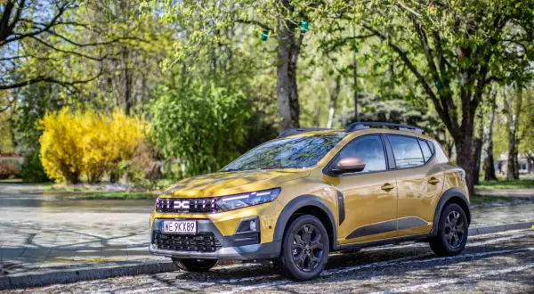 Złoty Dacia Sandero Stepway zaparkowany na brukowanej drodze, otoczony zielenią i kwitnącym krzewem.