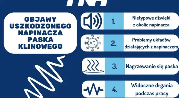 Objawy uszkodzonego napinacza paska klinowego: nietypowe dźwięki, problemy układów, nagrzewanie się paska, drgania.