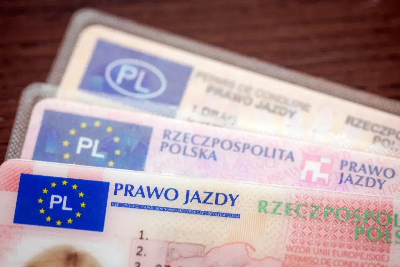 Kilka polskich praw jazdy, pokazujących różne kategorie prawa jazdy.