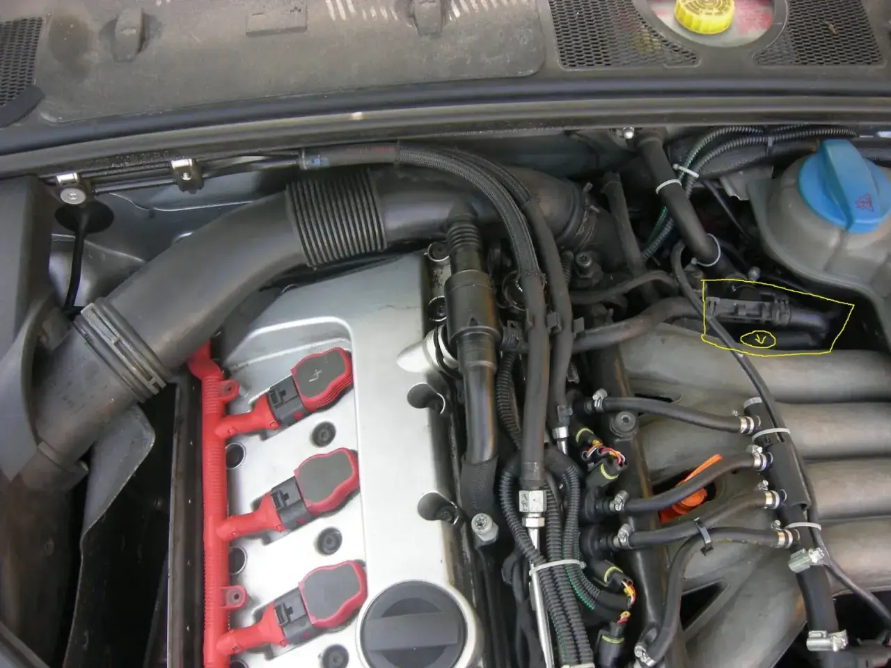 Silnik 2.0 benzyna Audi A4 B6. Widoczne cewki zapłonowe, kolektor dolotowy i czujnik zaznaczony żółtą ramką.