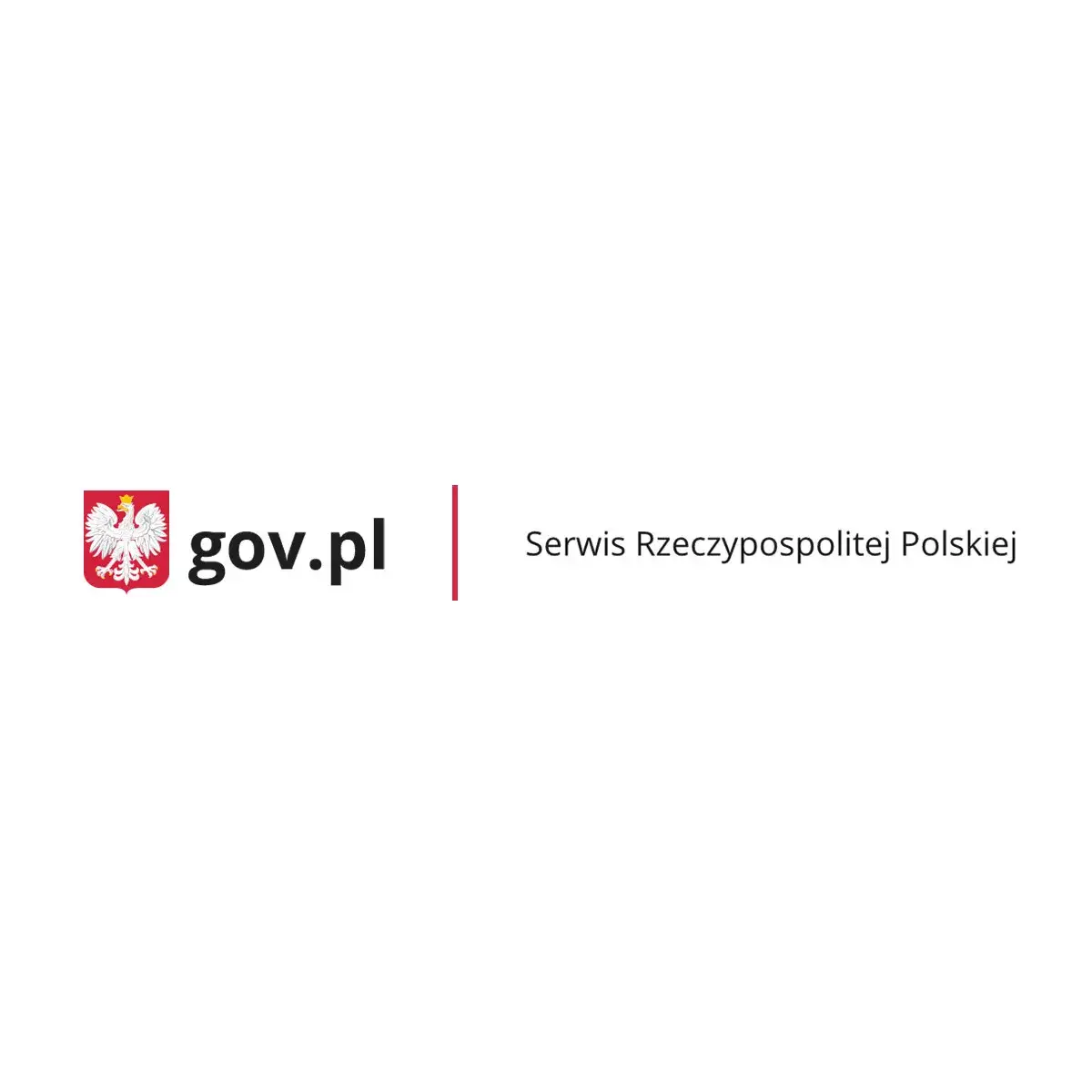 Zdjęcie Jak zablokować prawo jazdy i zabezpieczyć się przed oszustwem